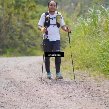 Runner Photo 5341341