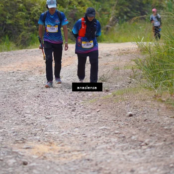 Runner Photo 5341351