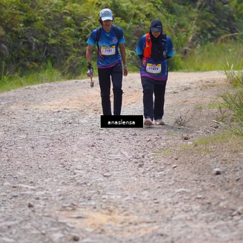 Runner Photo 5341352