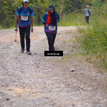 Runner Photo 5341357