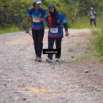 Runner Photo 5341447