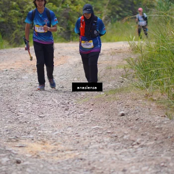 Runner Photo 5341483