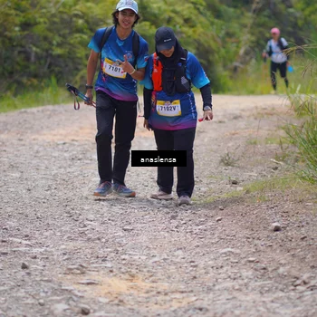 Runner Photo 5341499