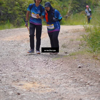 Runner Photo 5341500