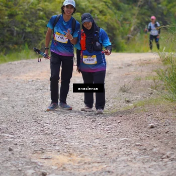 Runner Photo 5341507