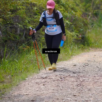 Runner Photo 5341521