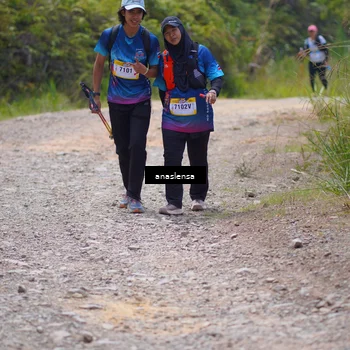 Runner Photo 5341538