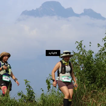 Runner Photo 5341586