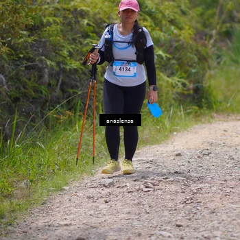 Runner Photo 5341614