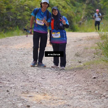 Runner Photo 5341618