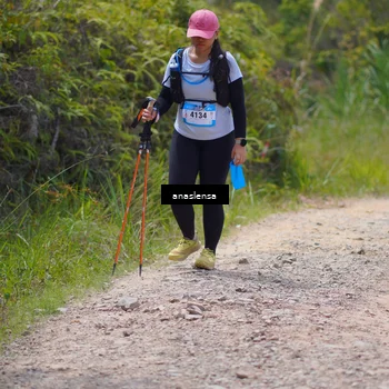 Runner Photo 5341629