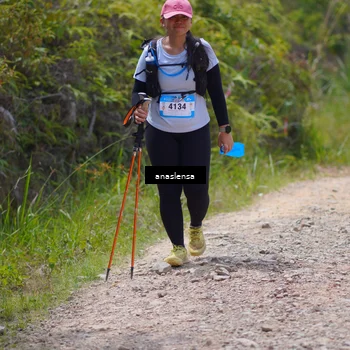 Runner Photo 5341637