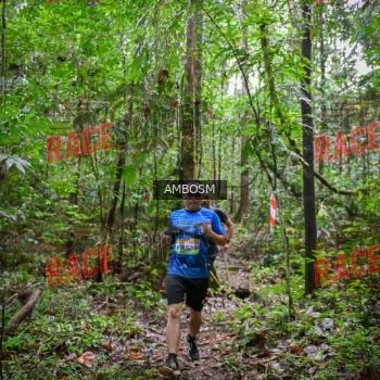 Runner Photo 534180