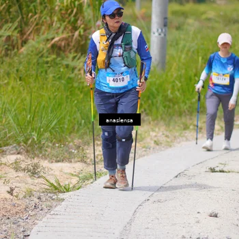 Runner Photo 5341915