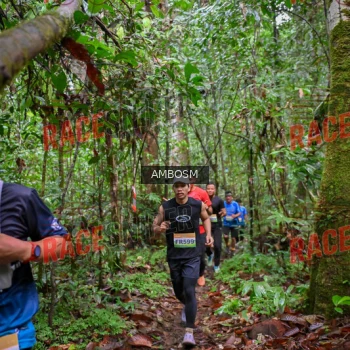 Runner Photo 534192