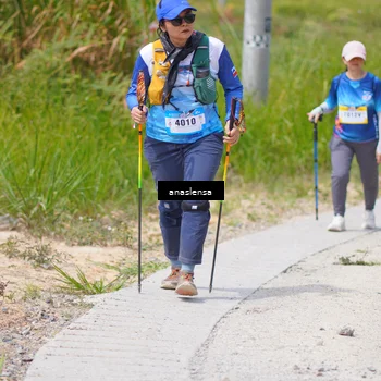 Runner Photo 5341936