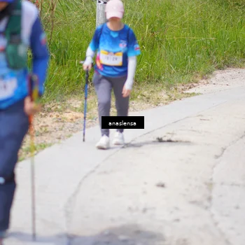 Runner Photo 5341989