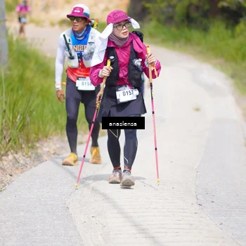 Runner Photo 5342506