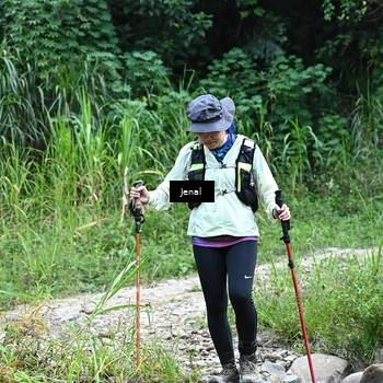 Runner Photo 5342592