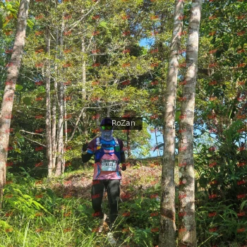Runner Photo 5343
