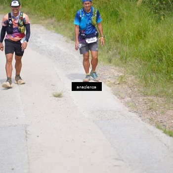Runner Photo 5343454
