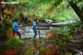 Runner Photo 534366