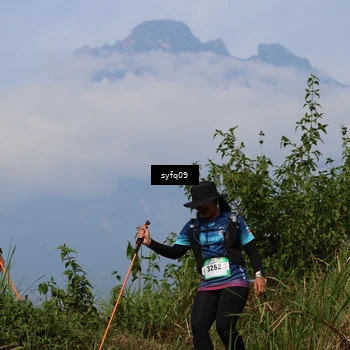 Runner Photo 5344418