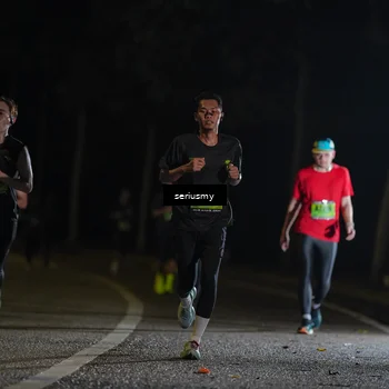 Runner Photo 5344994