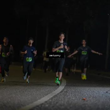 Runner Photo 5345162