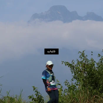 Runner Photo 5345807