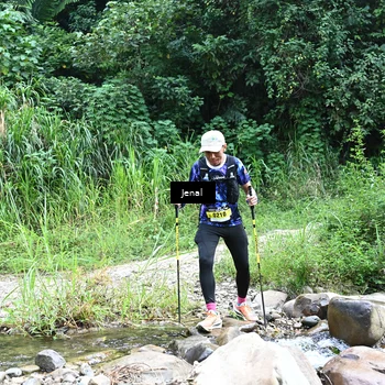 Runner Photo 5346825