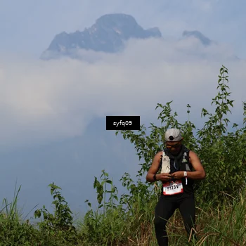 Runner Photo 5347334