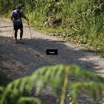 Runner Photo 5347345