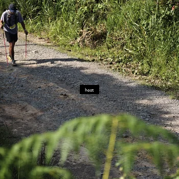 Runner Photo 5347365