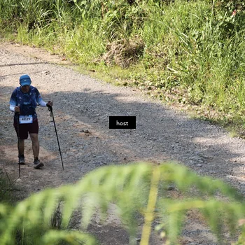Runner Photo 5347686