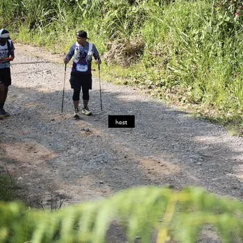 Runner Photo 5347782