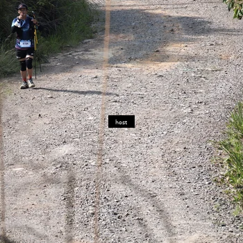 Runner Photo 5347882