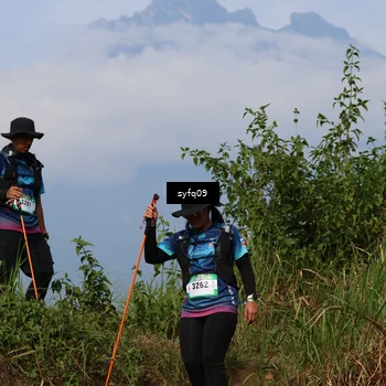 Runner Photo 5347891