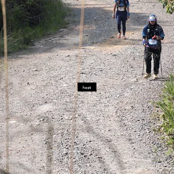 Runner Photo 5348015