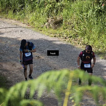 Runner Photo 5348041