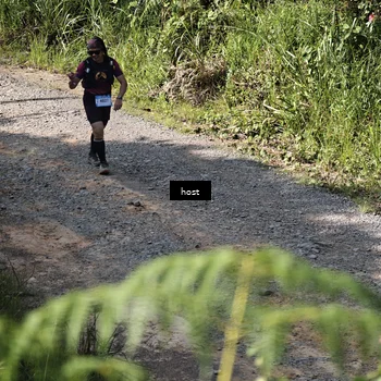 Runner Photo 5348066