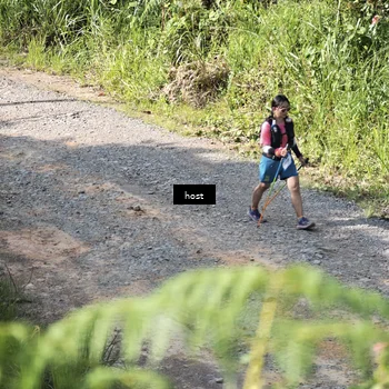 Runner Photo 5348186