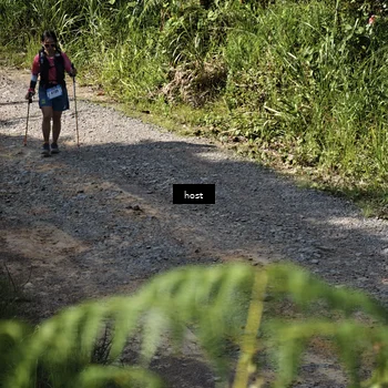 Runner Photo 5348222