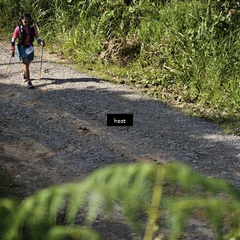 Runner Photo 5348230