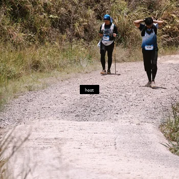 Runner Photo 5348381