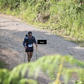 Runner Photo 5348683