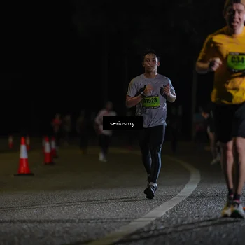Runner Photo 5348741