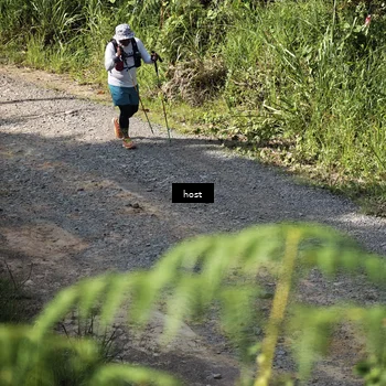 Runner Photo 5348817