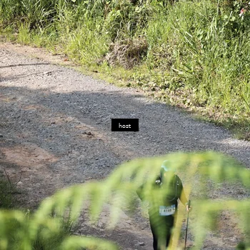 Runner Photo 5348962