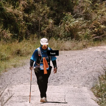 Runner Photo 5348996